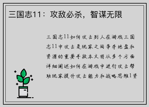 三国志11：攻敌必杀，智谋无限